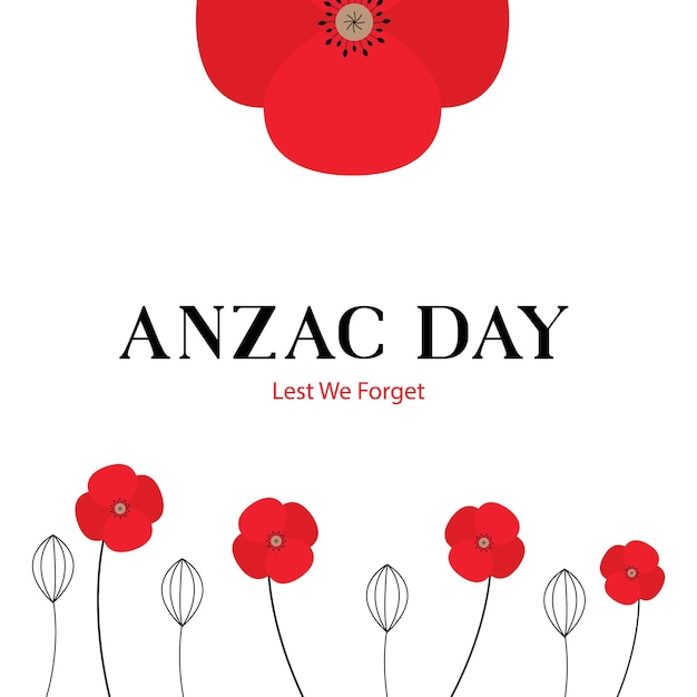 Fond de jour floral rouge Anzac ou fond d'écran N'oublions pas