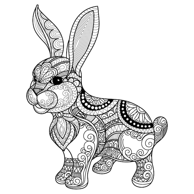 Fond De Lapin Dessiné à La Main