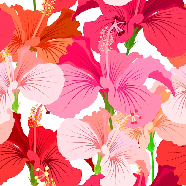 Fond Magnifique Motif Floral Sans Soudure. Motif De Fleurs Tropicales. Fleur D'hibiscus De