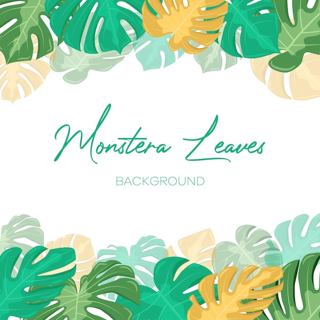 Fond de Monstera