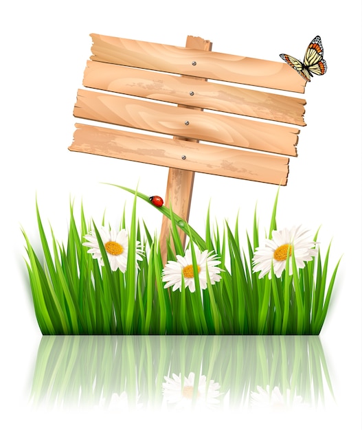 Fond de nature avec de l'herbe verte et des fleurs et panneau en bois