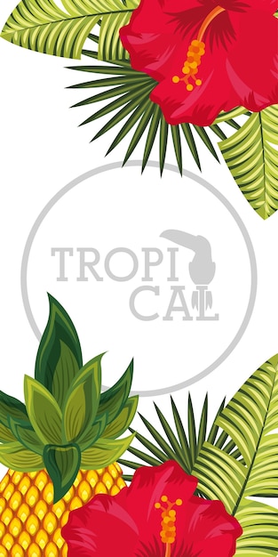 Fond noir tropical