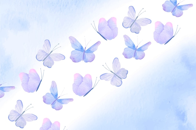 Fond de papillon coloré aquarelle