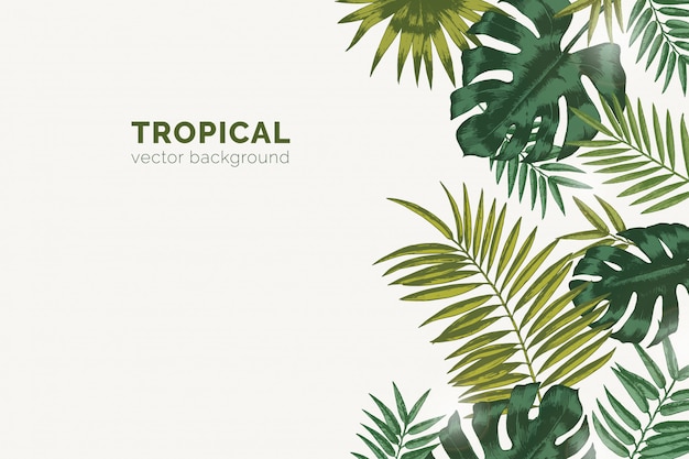 Fond de paradis d'été avec des branches de palmiers exotiques et des feuilles tropicales de Monstera.