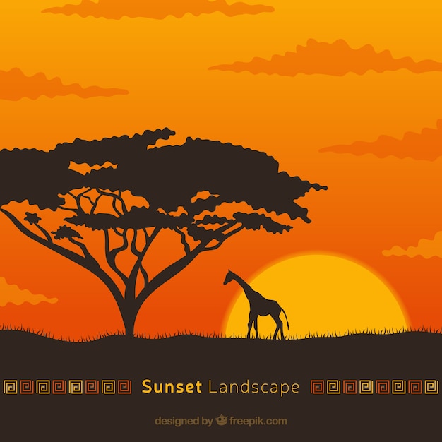 Fond De Paysage Africain Au Coucher Du Soleil Avec La Girafe