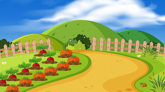 Fond de paysage avec des légumes dans le jardin