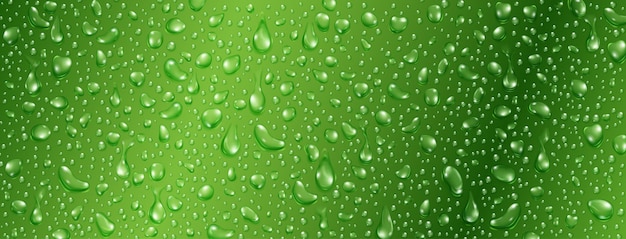 Fond de petites gouttes d'eau réalistes aux couleurs vertes