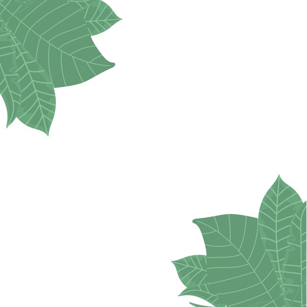 Vecteur fond de plantes d'été avec place pour les mots modèle avec illustration de feuilles tropicales