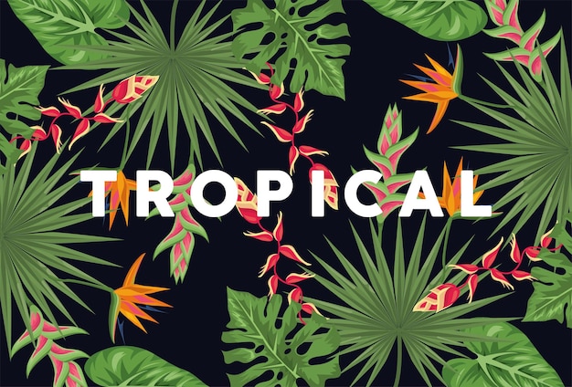 Fond de plantes tropicales exotiques