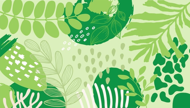 Fond de présentation avec plante à feuilles tropicales sur la conception de vecteur de fond vert