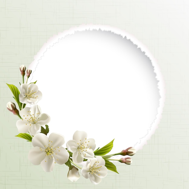 Fond de printemps avec des fleurs de cerisier blanc