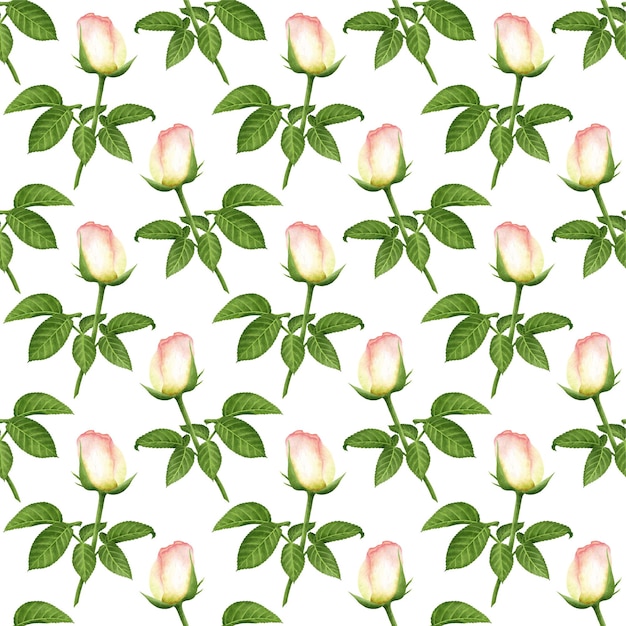 Fond Sans Couture De Vecteur Blanc Avec Des Roses D'aquarelle Numérique En Fleurs