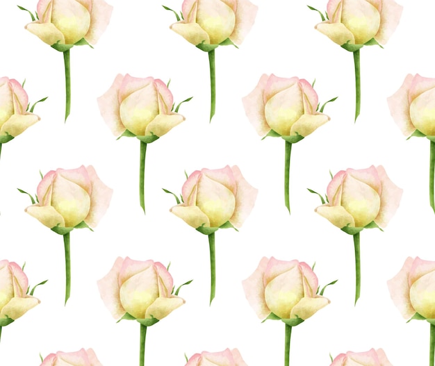 Fond Sans Couture De Vecteur Blanc Avec Des Roses D'aquarelle Numérique En Fleurs