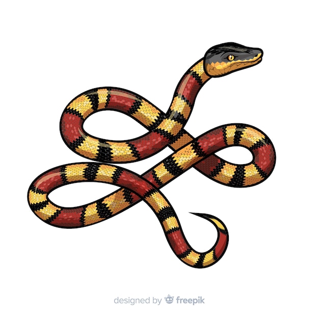 Vecteur fond de serpent réaliste dessiné à la main