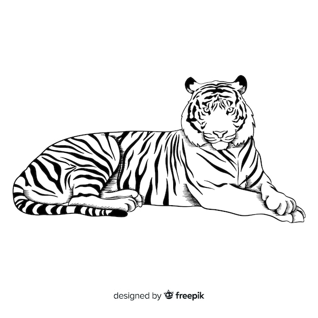 Vecteur fond de tigre