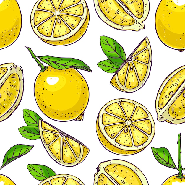 Fond transparent de citrons mignons. illustration dessinée à la main