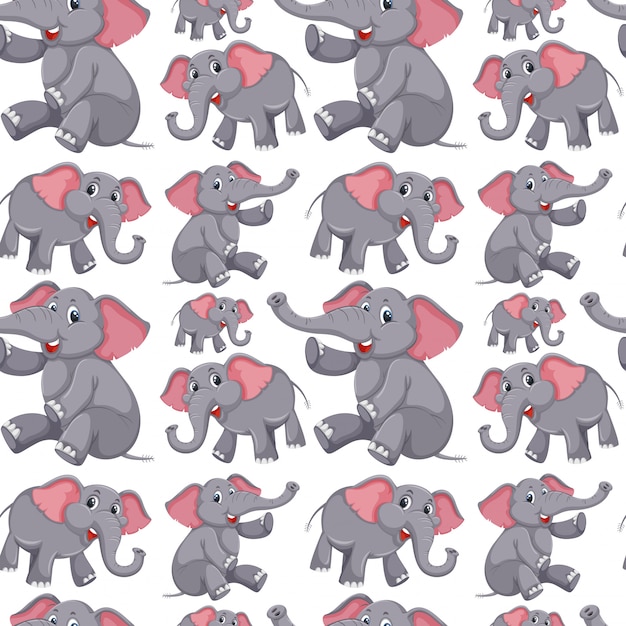 Fond transparent éléphant mignon