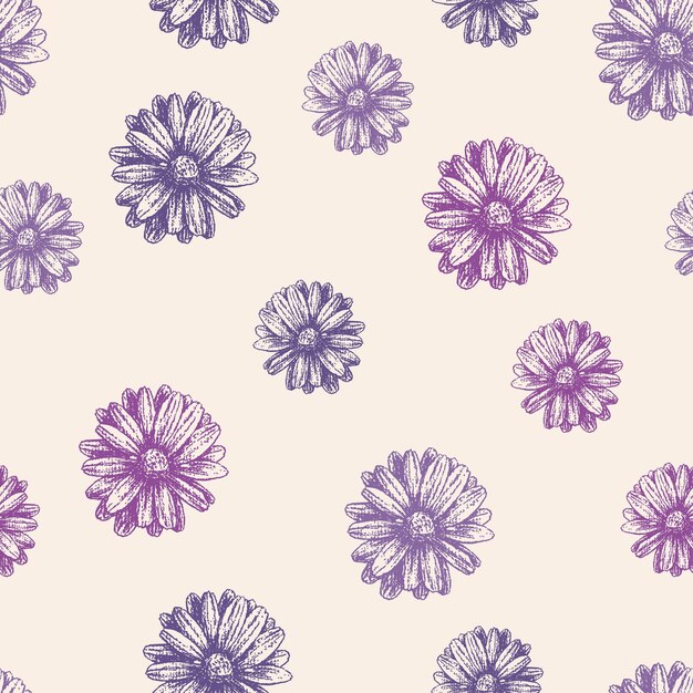 Fond Transparent De Têtes De Marguerites Texturées Lilas