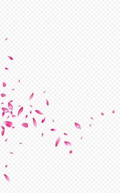 Fond Transparent De Vecteur De Pêche Rouge Japon. Tendre Couverture Cerise. Délicat Rose Fly Wallpaper. Conception D'automne De Fleur Rose.