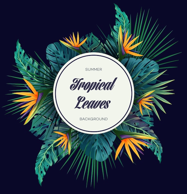 Fond tropical clair avec des plantes de la jungle. Modèle exotique de vecteur avec des feuilles de palmier.