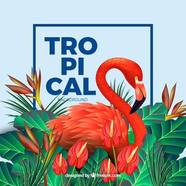 Fond Tropical Coloré Avec Un Design Réaliste