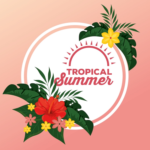 Fond Tropical De L'été