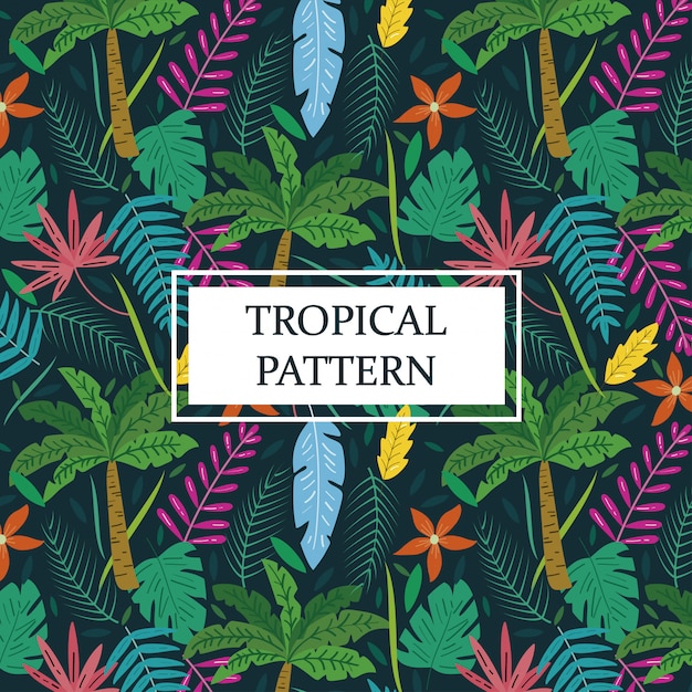 Fond Tropical Avec Des Palmiers Et Des Feuilles