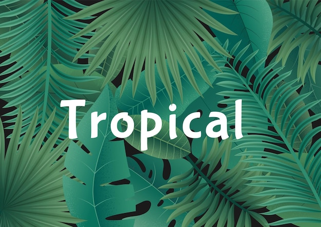 Fond tropical sans soudure Fond d'écran exotique avec feuillage de la jungle Illustration botanique vectorielle