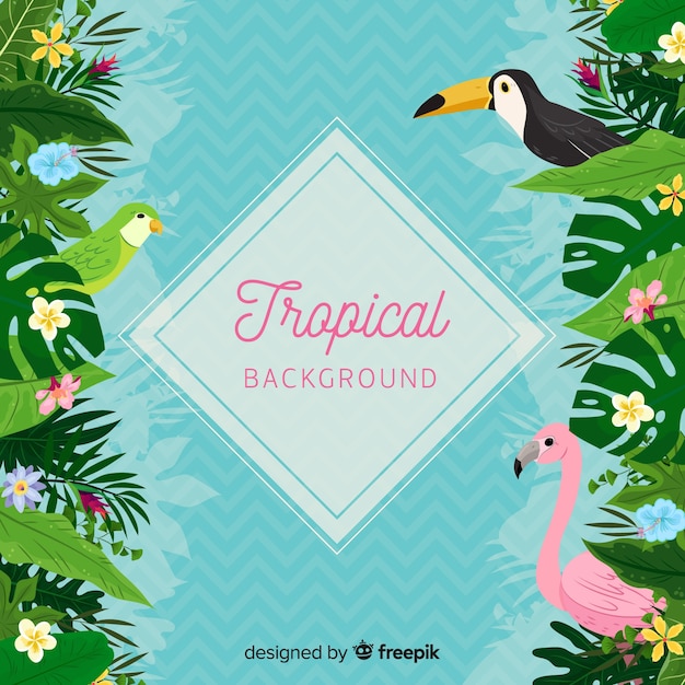 Fond Tropical Avec Toucan Et Flamant Rose