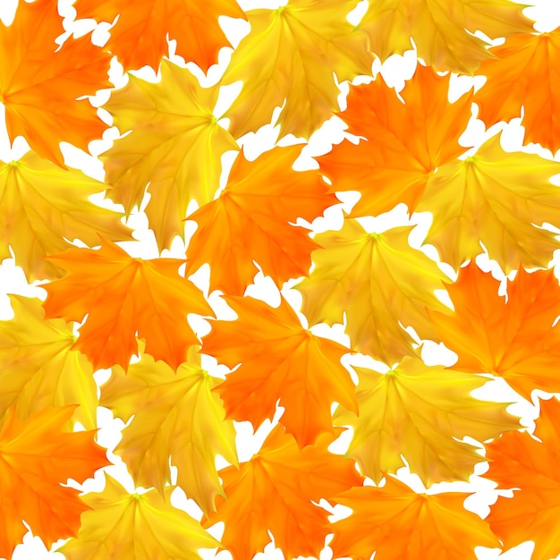 Fond De Vecteur D'automne Avec Des Feuilles D'érable Orange Et Jaune Pour L'affiche De Bannière De Vente De Shopping