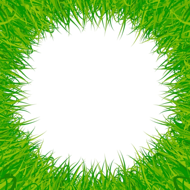 Vecteur fond de vecteur de cadre herbe verte