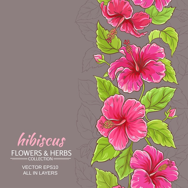 Fond de vecteur d'hibiscus