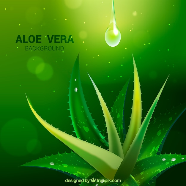 Fond Vert Avec Aloe Vera Et Gouttes