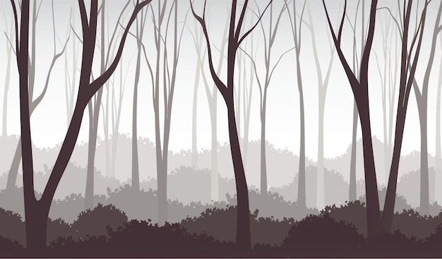 Forêt Brumeuse Aux Arbres Nuages