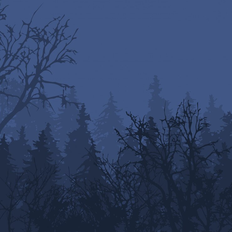 Forêt brumeuse dans le bois de l'environnement de pin extérieur naturel paysage sombre.