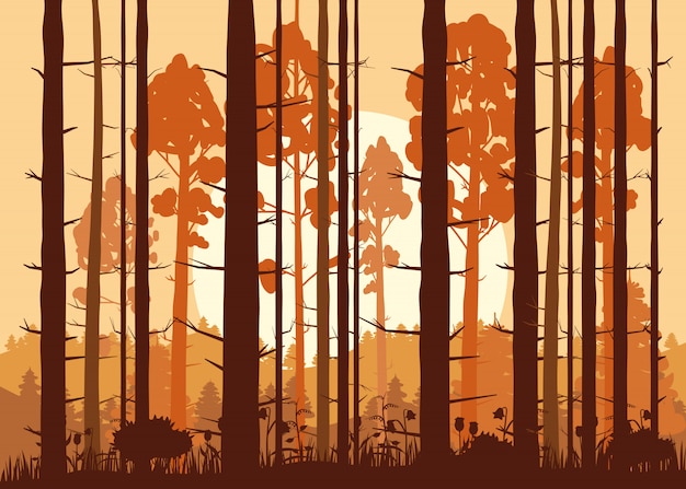 Forêt, coucher de soleil, montagnes, silhouettes de pins, sapins