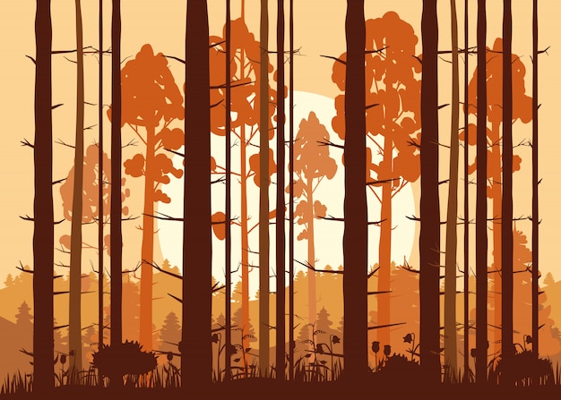 Vecteur forêt, coucher de soleil, montagnes, silhouettes de pins, sapins