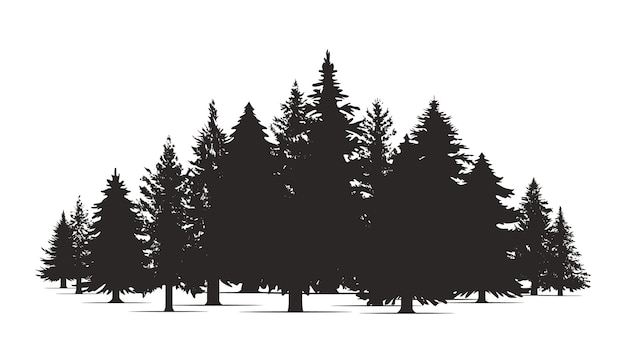 Forêt De Pins Dessinés à La Main Modèle De Bannière De Noël Vector Set Silhouette De Différents Pins Canadiens