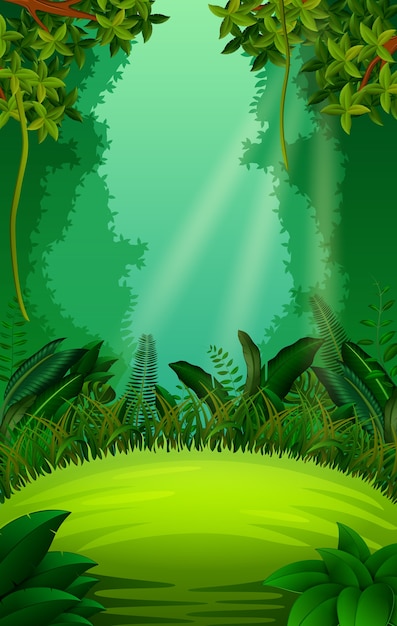 Vecteur forêt propre et verte