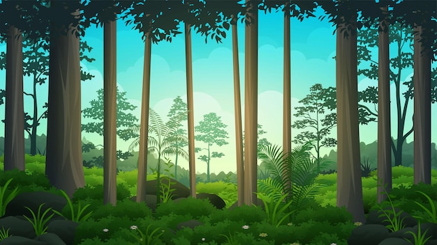 Vecteur forêt tropicale rocheuse avec buissons épais, plantes et arbres, illustration vectorielle de paysage naturel