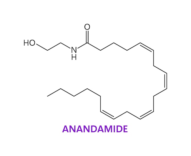 Formule Chimique Du Neurotransmetteur Acide Anandamide