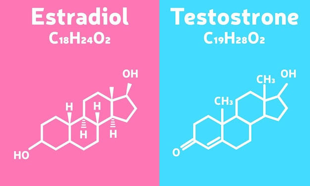 Formule chimique estradiol et testostérone. Homme et femme. Illustration vectorielle de sexe