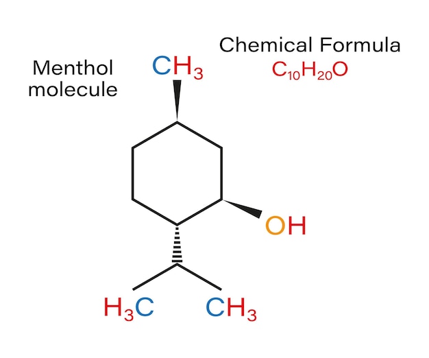 Vecteur formule chimique menthol molécule menthe poivrée maïs menthes etc structure vecteur squelettique