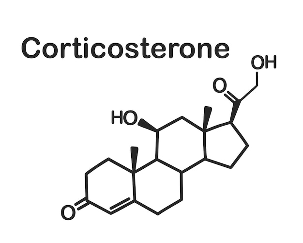 Vecteur formule chimique structurelle de la corticostérone isolée sur fond blanc