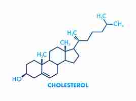 Vecteur formule de cholestérol sur fond blanc formule de cholestérol 3d