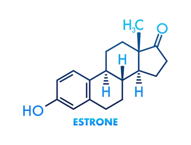 Formule d'estrone Formules chimiques vectorielles d'oestrogènes Illustration vectorielle