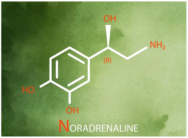 Vecteur formule de noradrénaline icône de ligne mince vectorielle de la structure moléculaire de la noradrenaline
