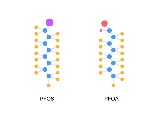 Formule Perturbateurs Endocriniens