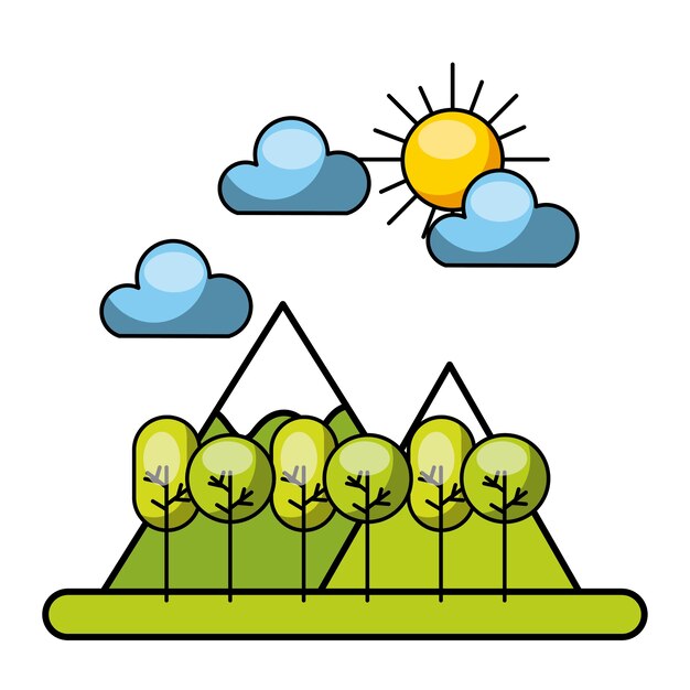 Forrest Avec Des Nuages ​​et L'image Du Soleil