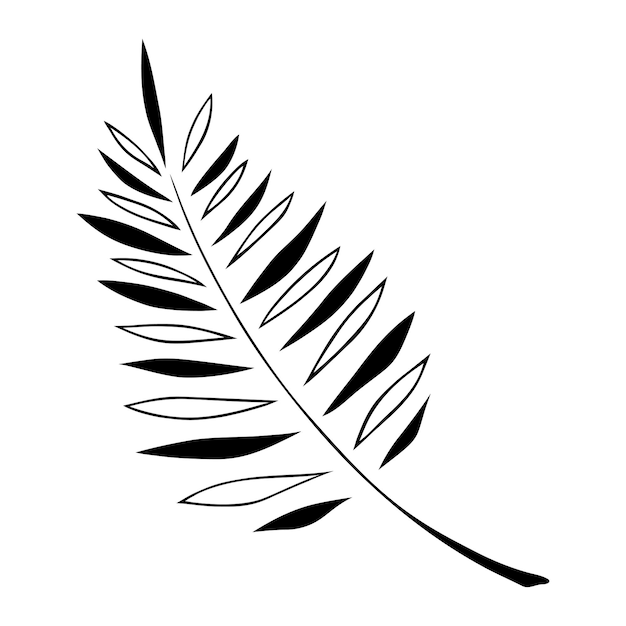 Vecteur fougère à feuilles tropicales sur fond blanc illustration vectorielle en noir et blanc dessinée à la main